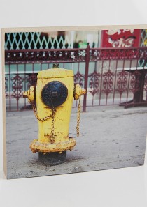 pictureblock #142 „Hydrant, Toronto“