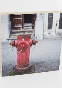 pictureblock #143 „Hydrant, Montreal“